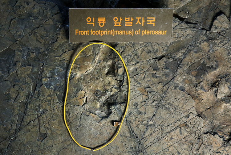 해남 공룡박물관