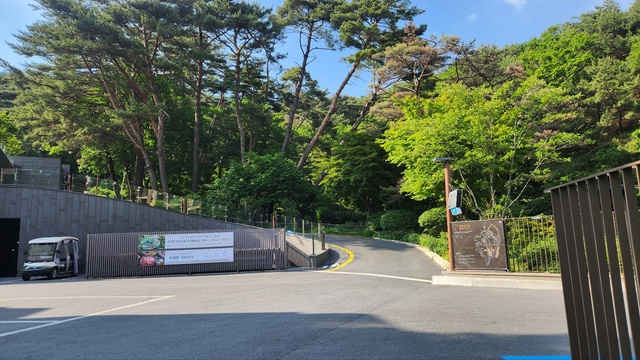 포레스트 리솜 숙소 가는길