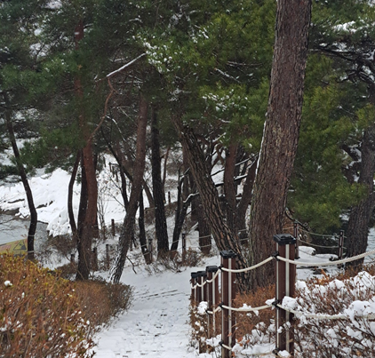 부소담악