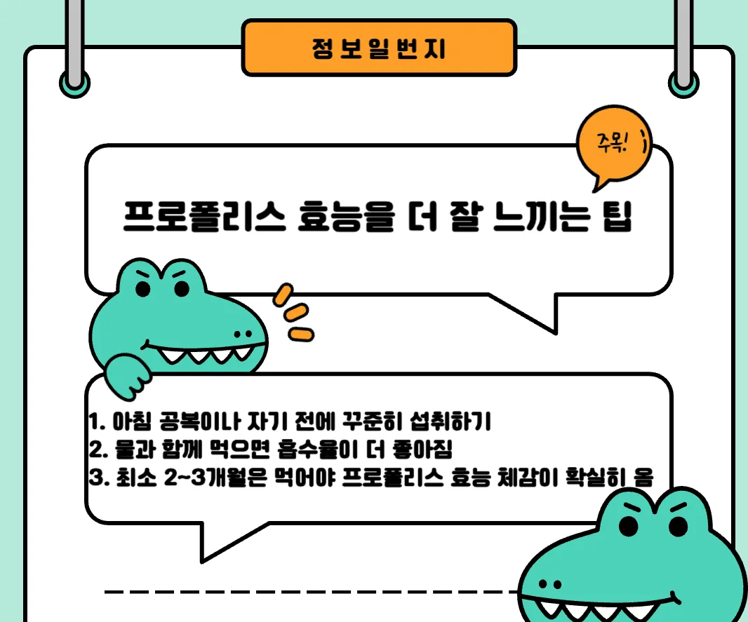 프로폴리스-효능-후기-기관지