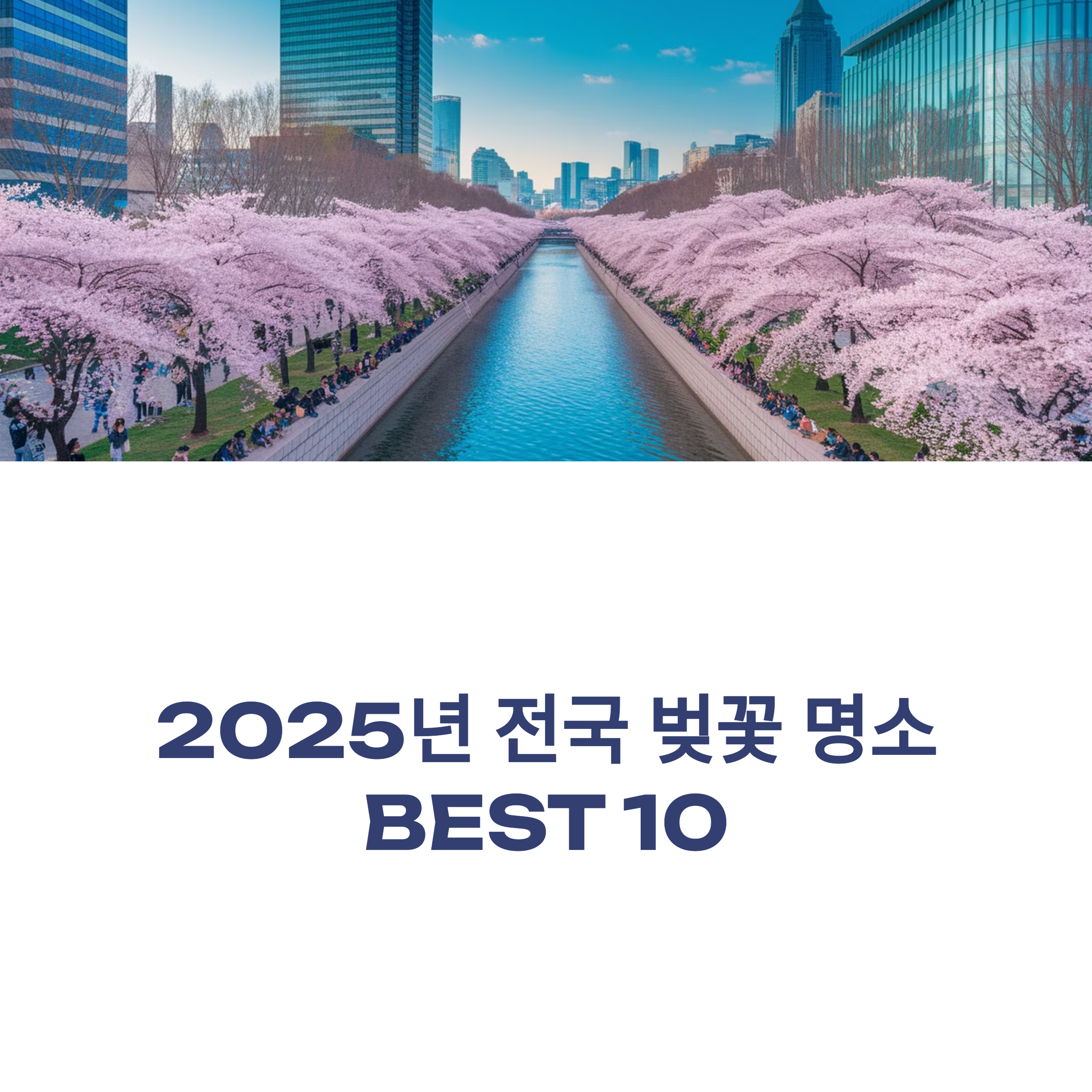 2025년 벚꽃 명소 BEST 10