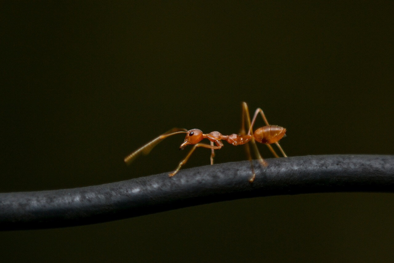 육아휴직 없이 살아남는 싱글맘의 예산