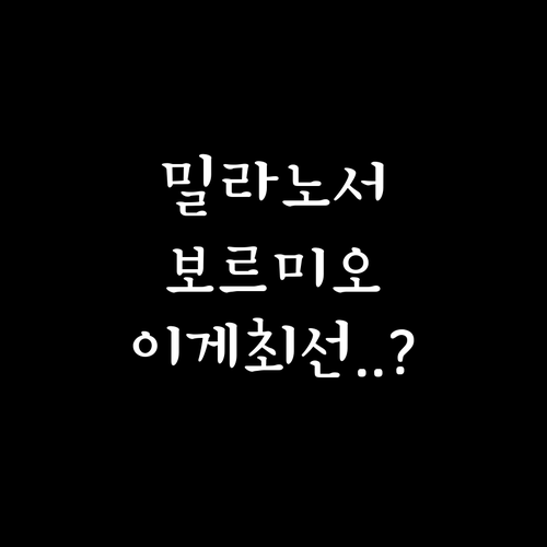 밀라노에서 보르미오까지 기차와 버스로..