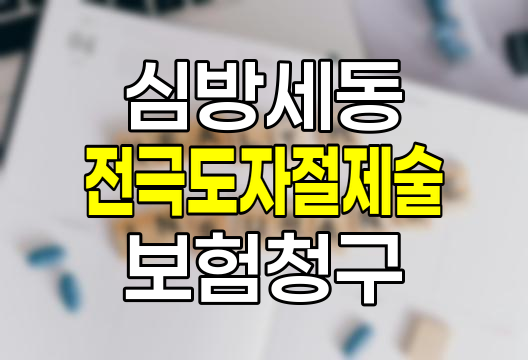 심방세동 전극도자절제술 보험청구 핵심정보