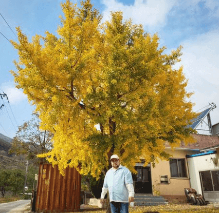 개그콘서트 제로베이스원