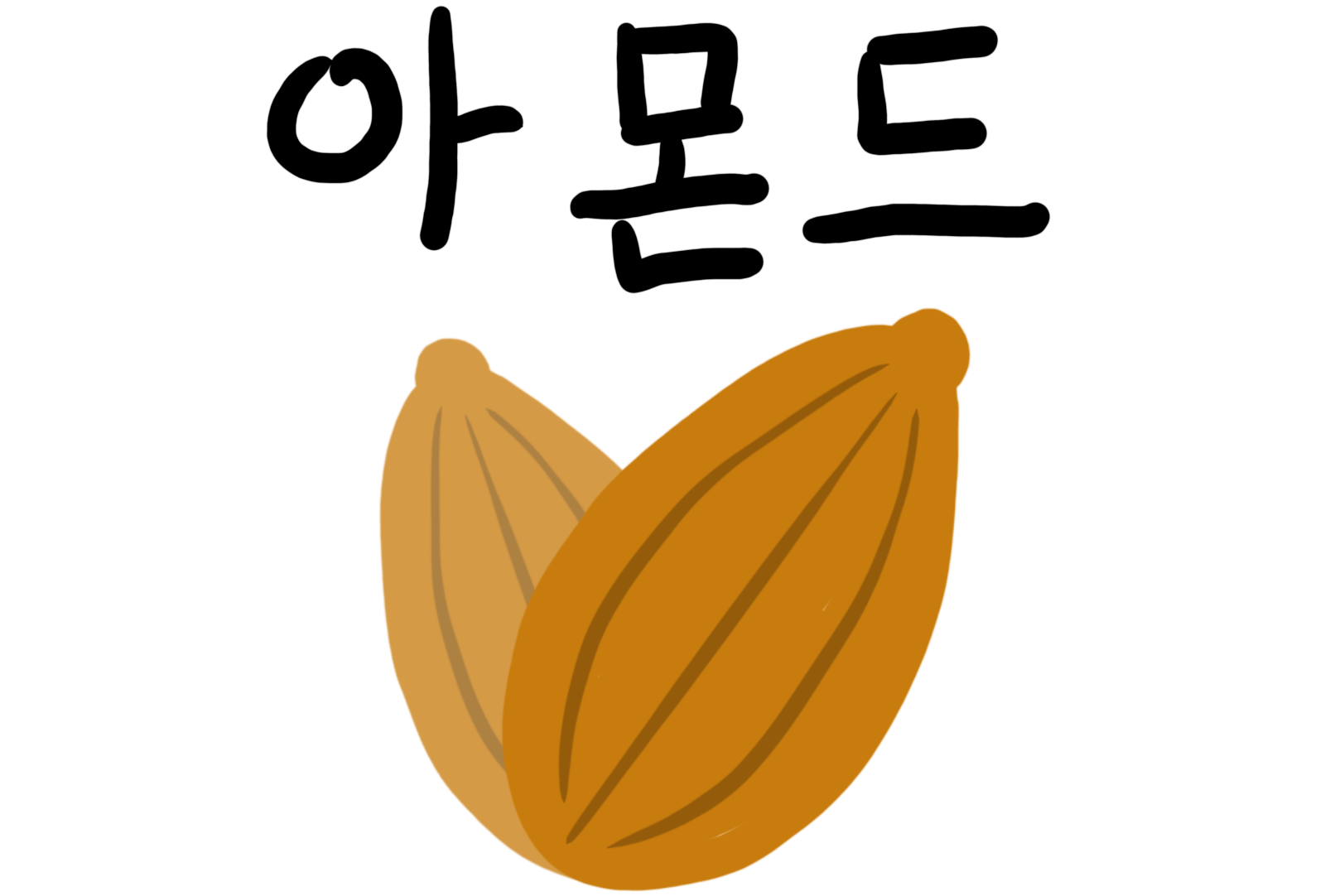 아몬드 그림