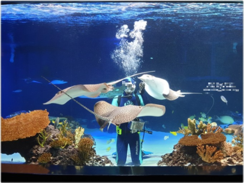 경기도 가볼만한 곳 수원 광교 아쿠아플라넷