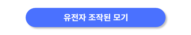 버튼