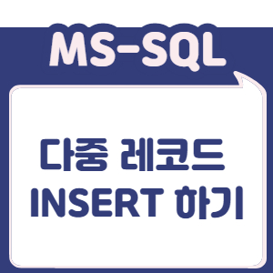 다중 레코드 INSERT 하기