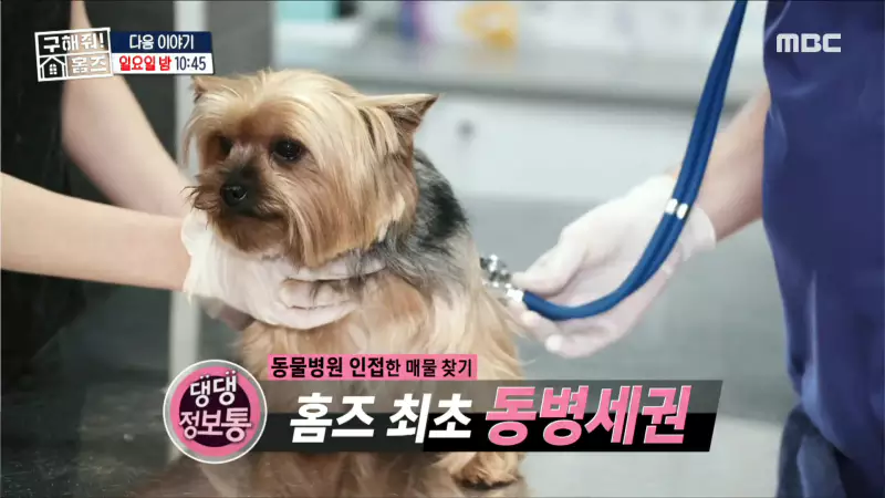 구해줘홈즈 하남 인프라 왕간다 동물병원 인접 하남시 망월동 전세 매매 매물 가격 및 구조 인테리어 리모델링 최종선택 강재준 양세찬 소개