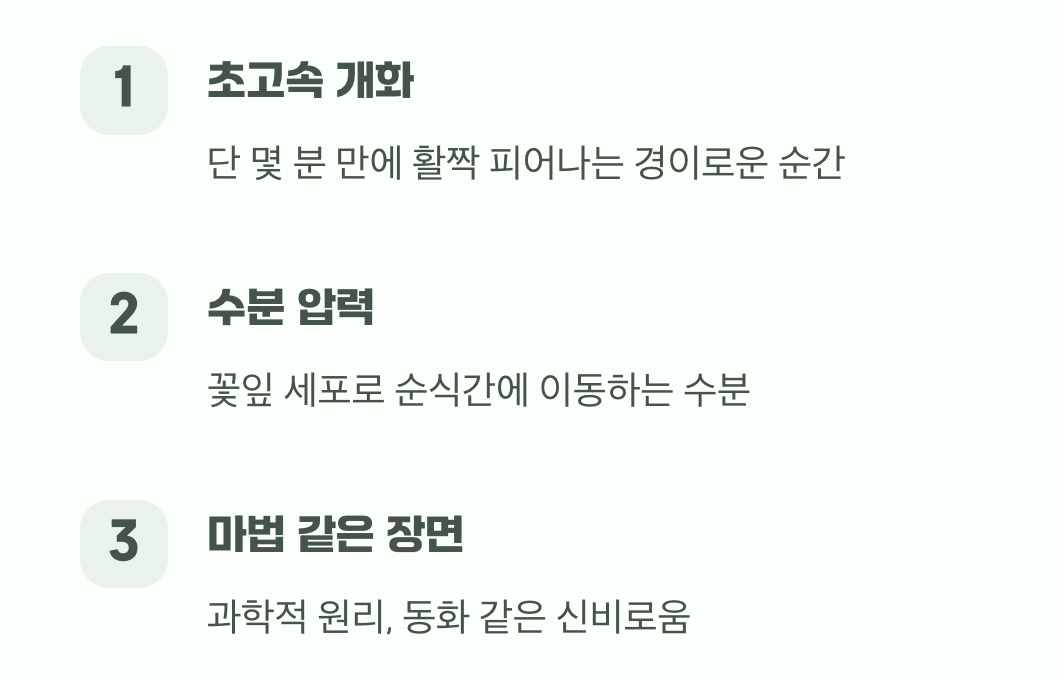 순식간에 펼쳐지는 마법, 개화의 순간