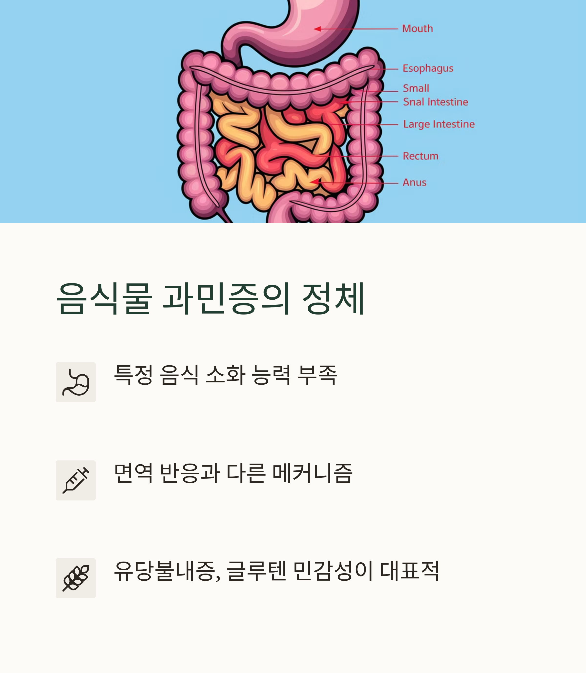 음식물 과민증의 원인과 정의