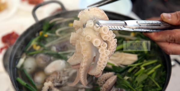 서천동백꽃쭈꾸미