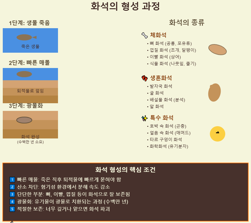 화석의 형성 조건과 종류