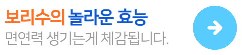 보리수-감기에좋은-효능