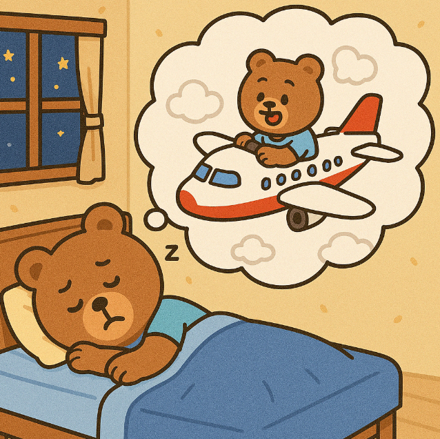 비행기를 타는 꿈