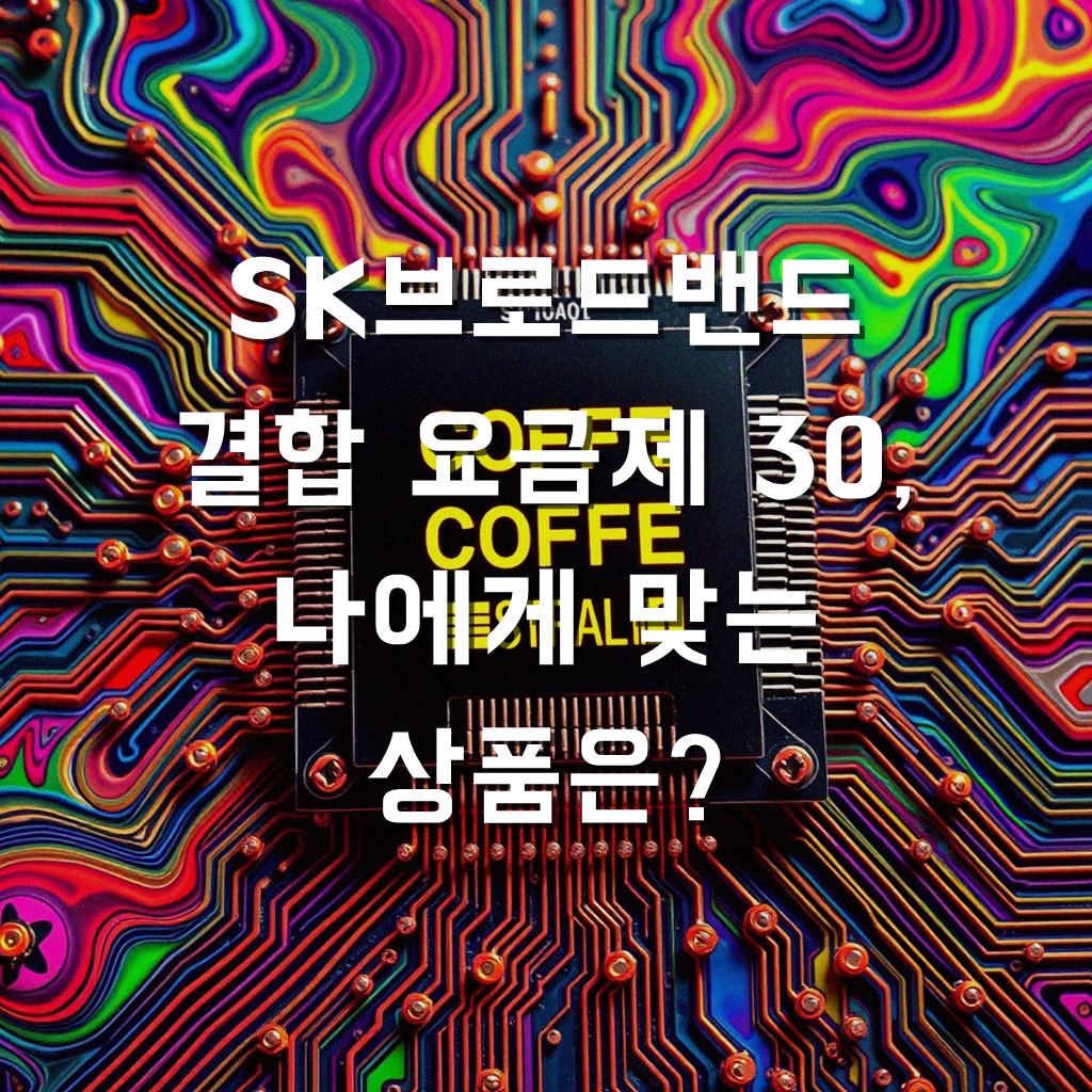 SK 브로드밴드 인터넷 집전화 결합 30 요금제 뭐로 해야 할까