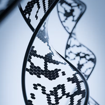 전립선 비대증 증상 원인 예방법