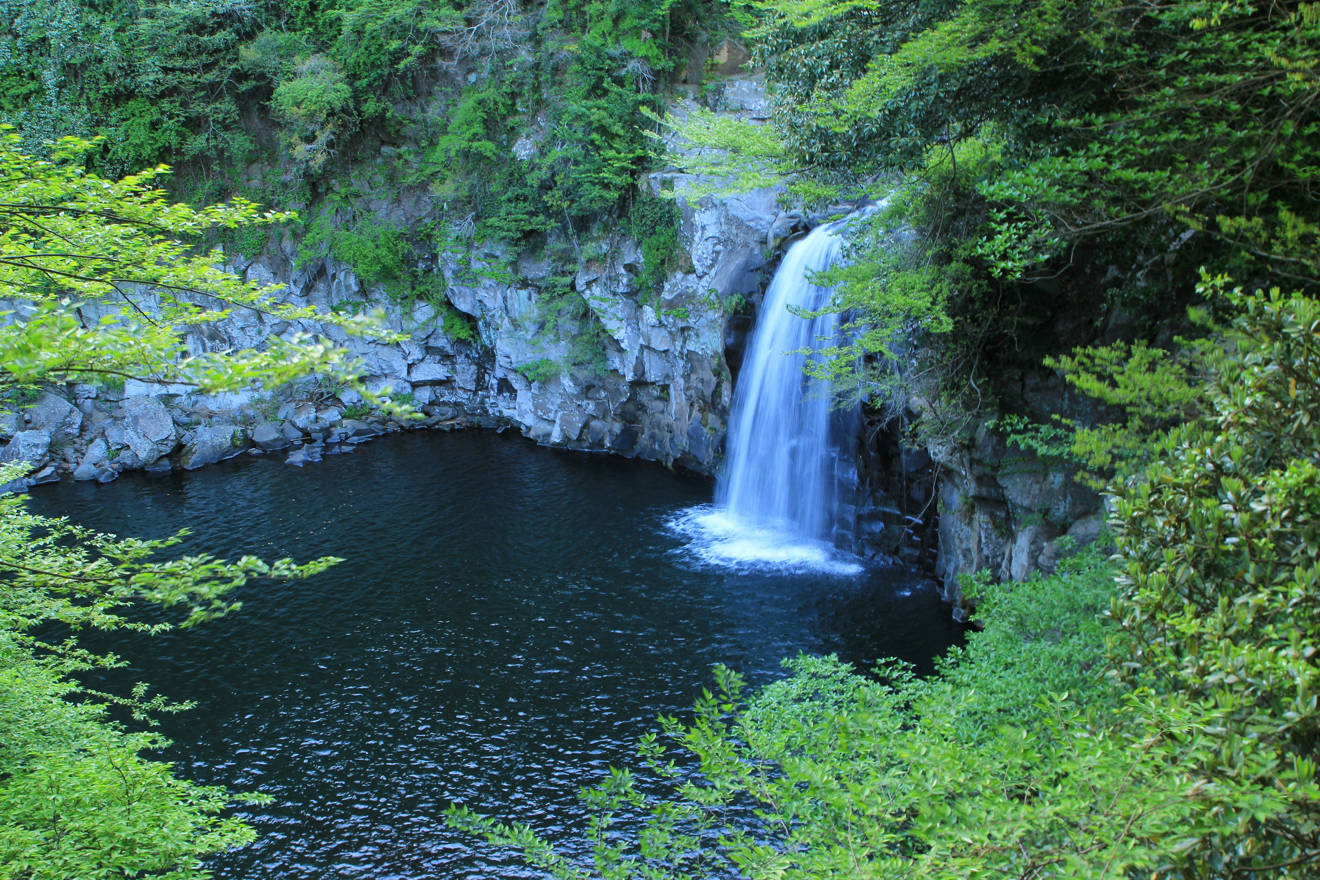 제주도 남쪽 여행지 추천