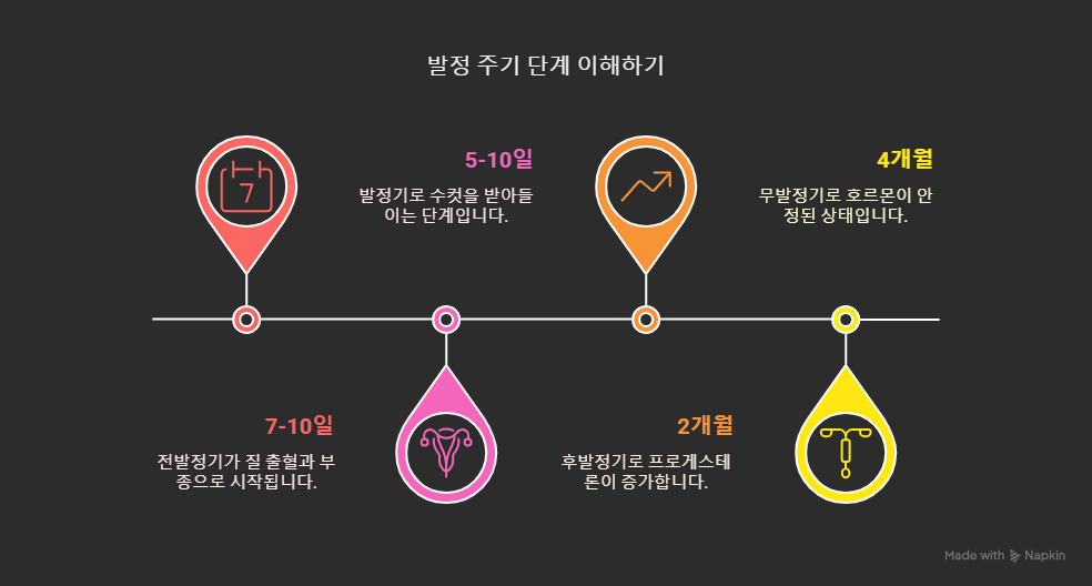 암컷 발정 주기 단계