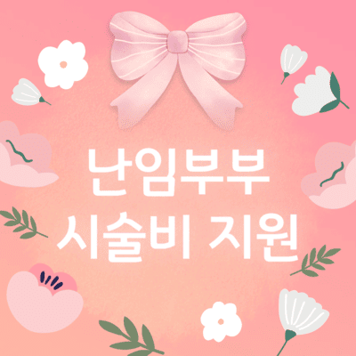난임부부 시술비 지원