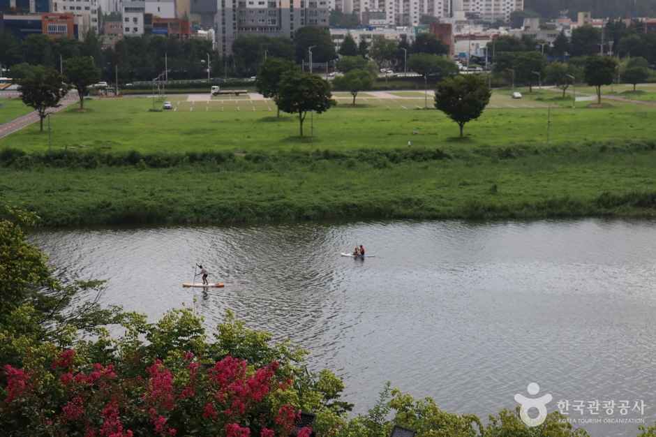 태화강 국가정원