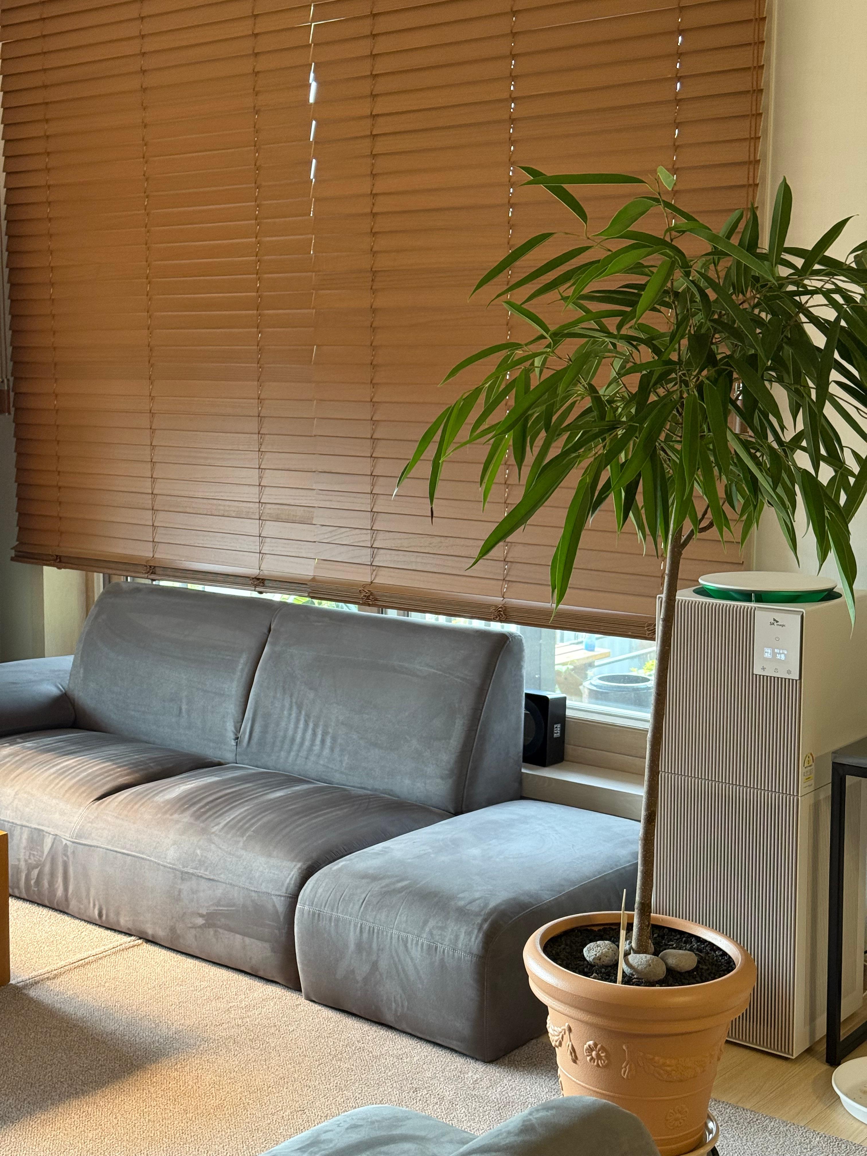 나의 최애 장소, 소파에 앉아 잔잔히 음악을 감상한다.