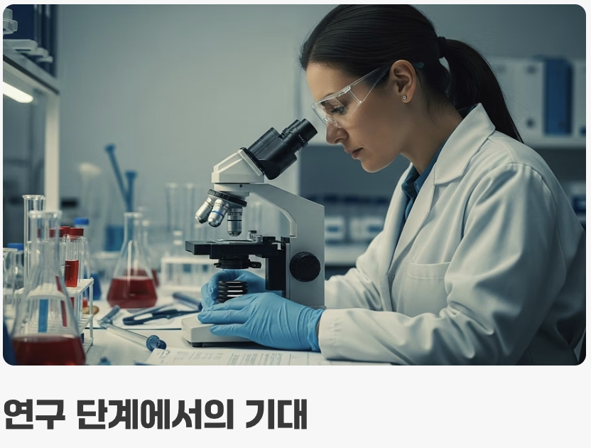 항암 효과에 대한 기대와 진실