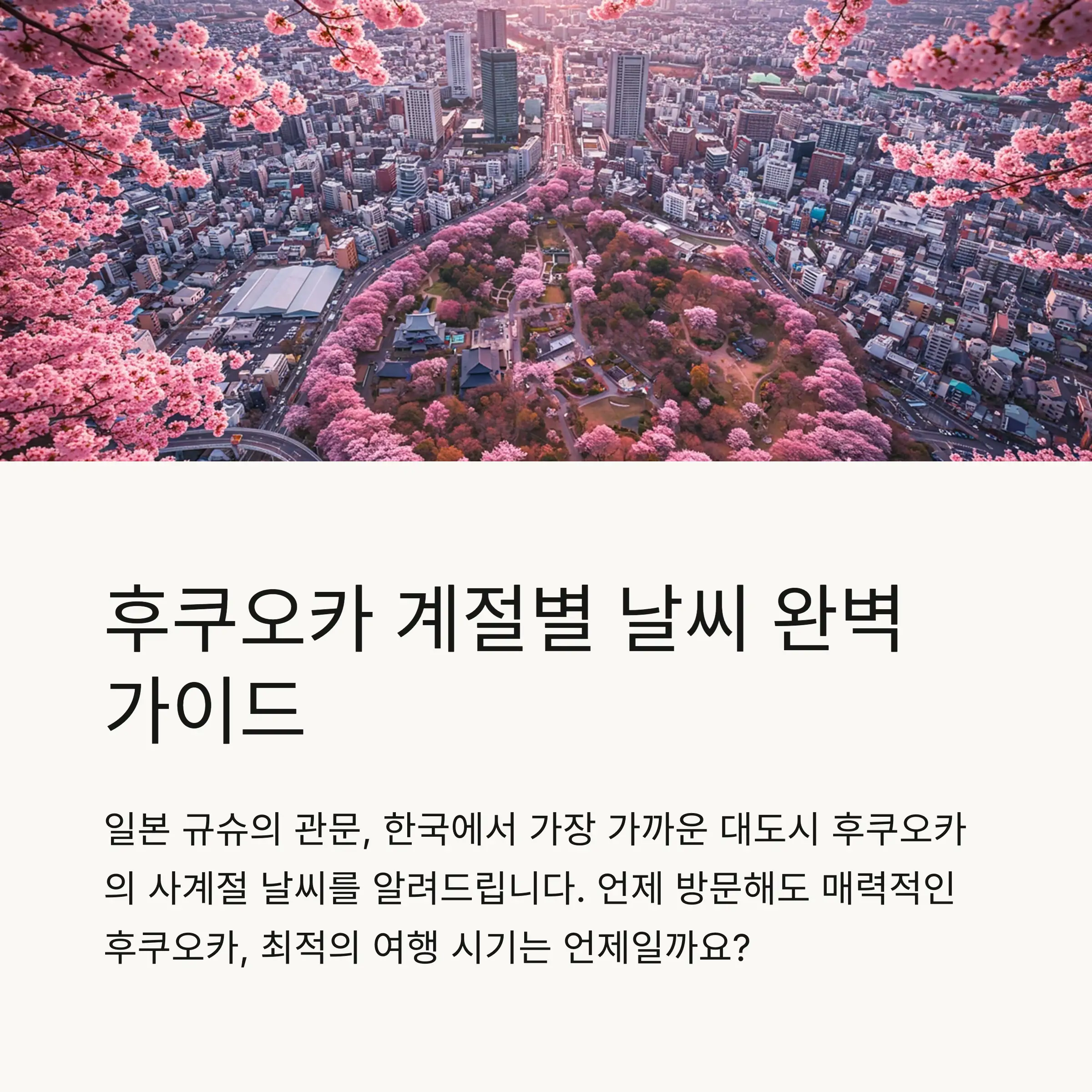 📋 목차