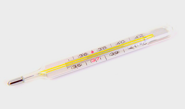 2024 독감 무료접종 나이 및 병원 찾기