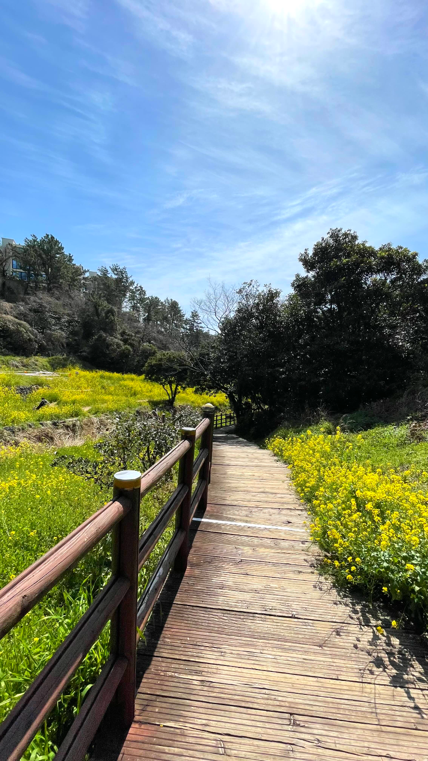 중문 미라지 내려가는 길3