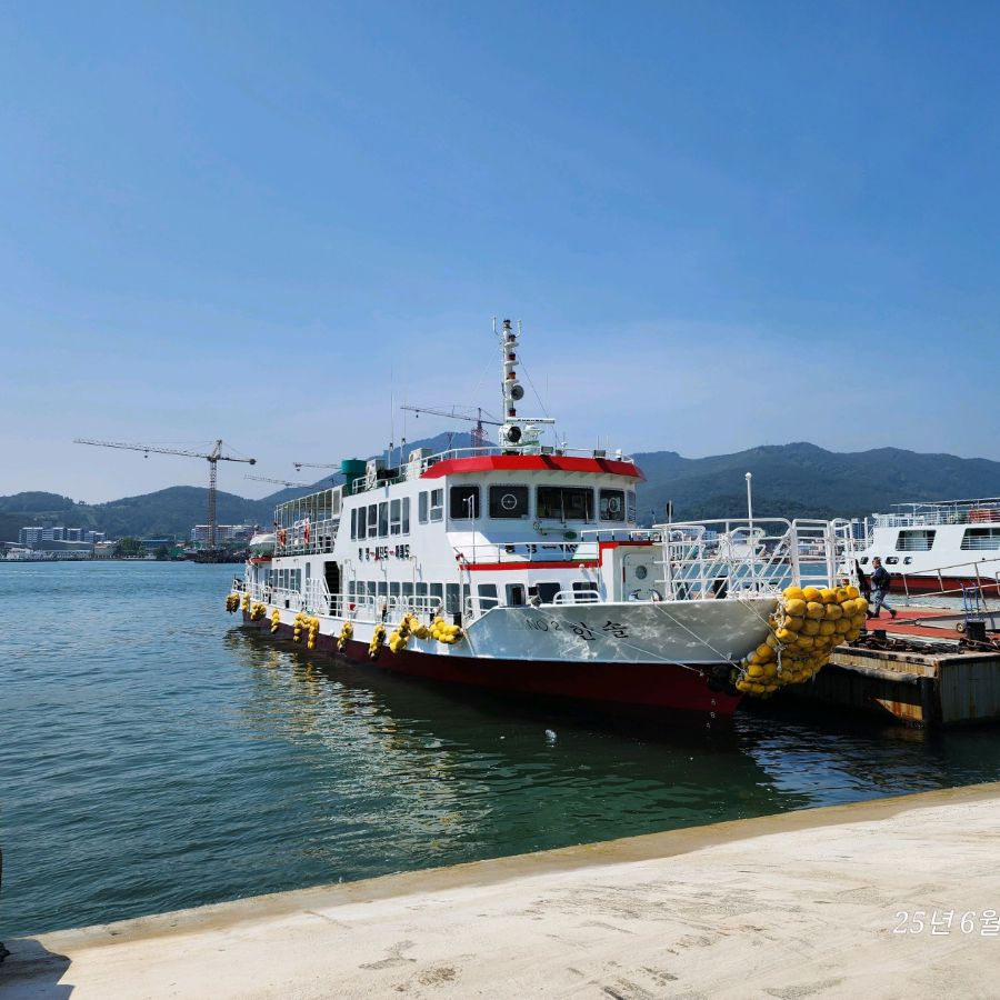 비진도
