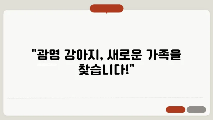 광명강아지보호소 언제나 편한상담
