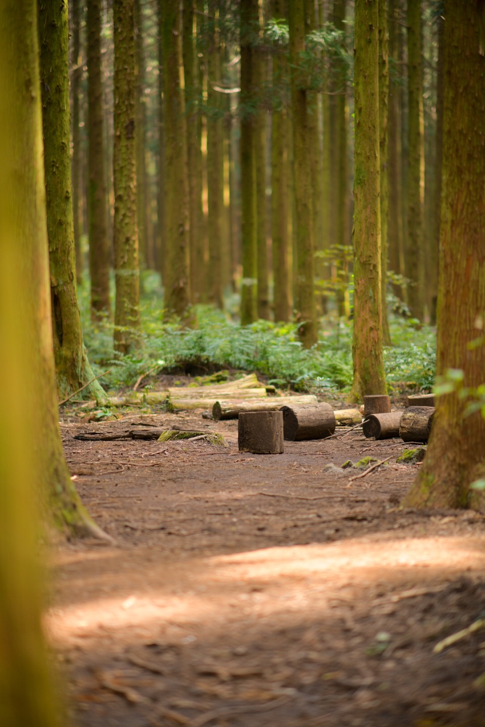 사진에 대한 이해: 사진의 기본 개념과 중요성