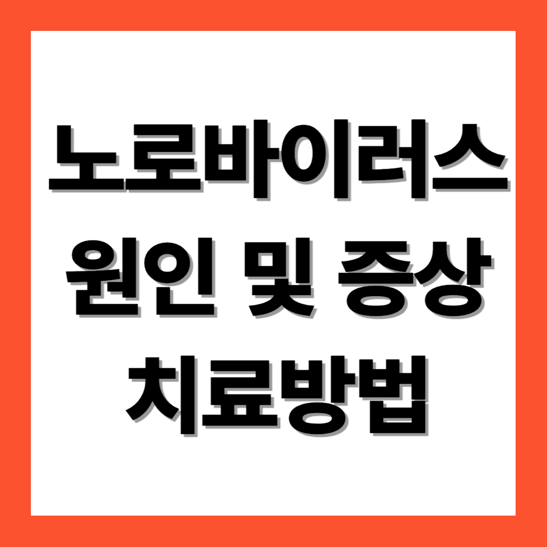 노로바이러스 증상 및 원인, 치료방법 및 예방법