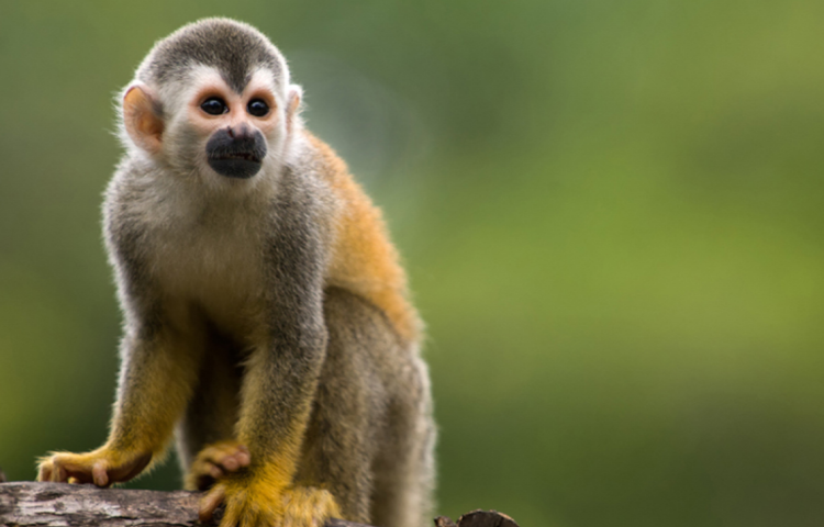 대구 네이처파크