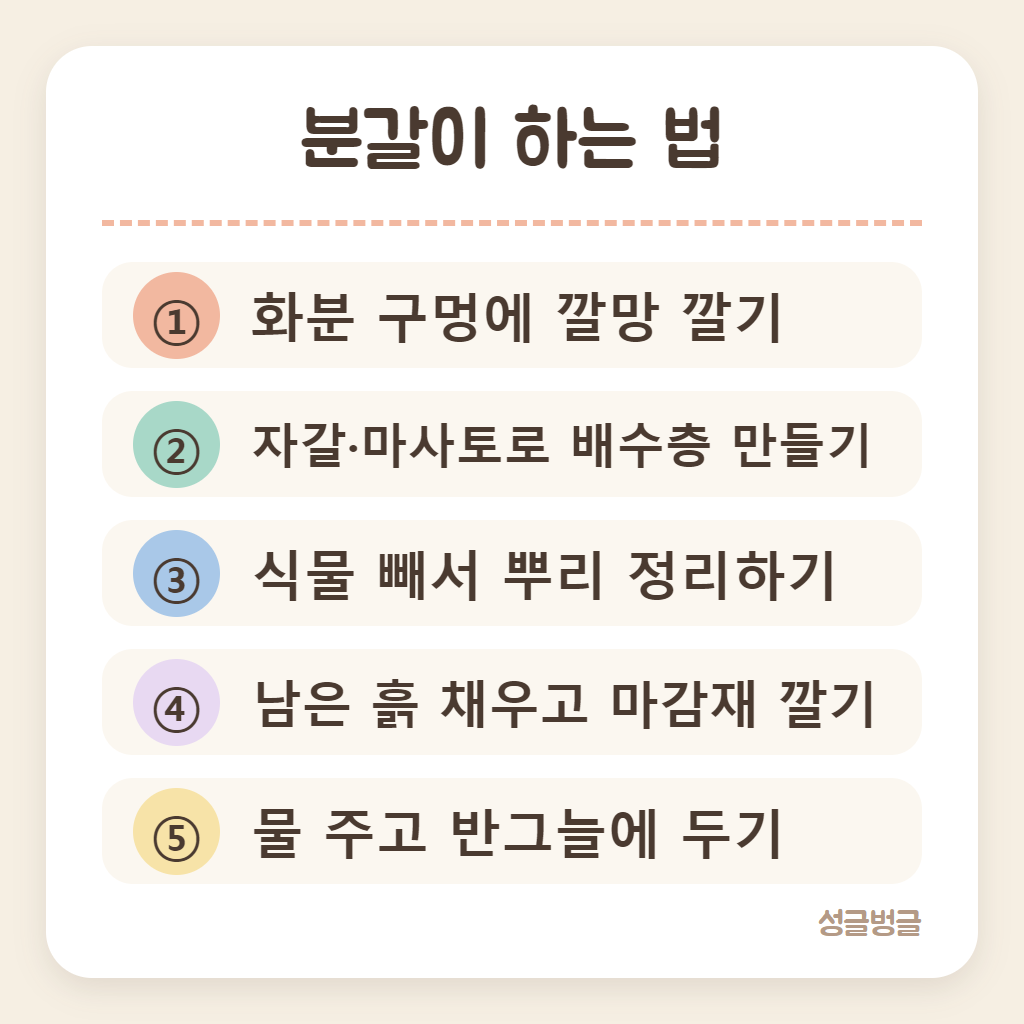 분갈이 하는 법 순서를 정리한 카드