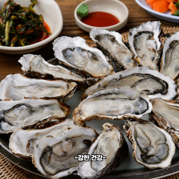 굴 효능