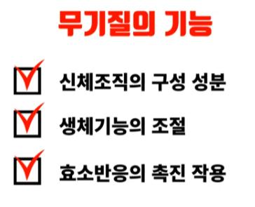 무기질의 기능 및 효과