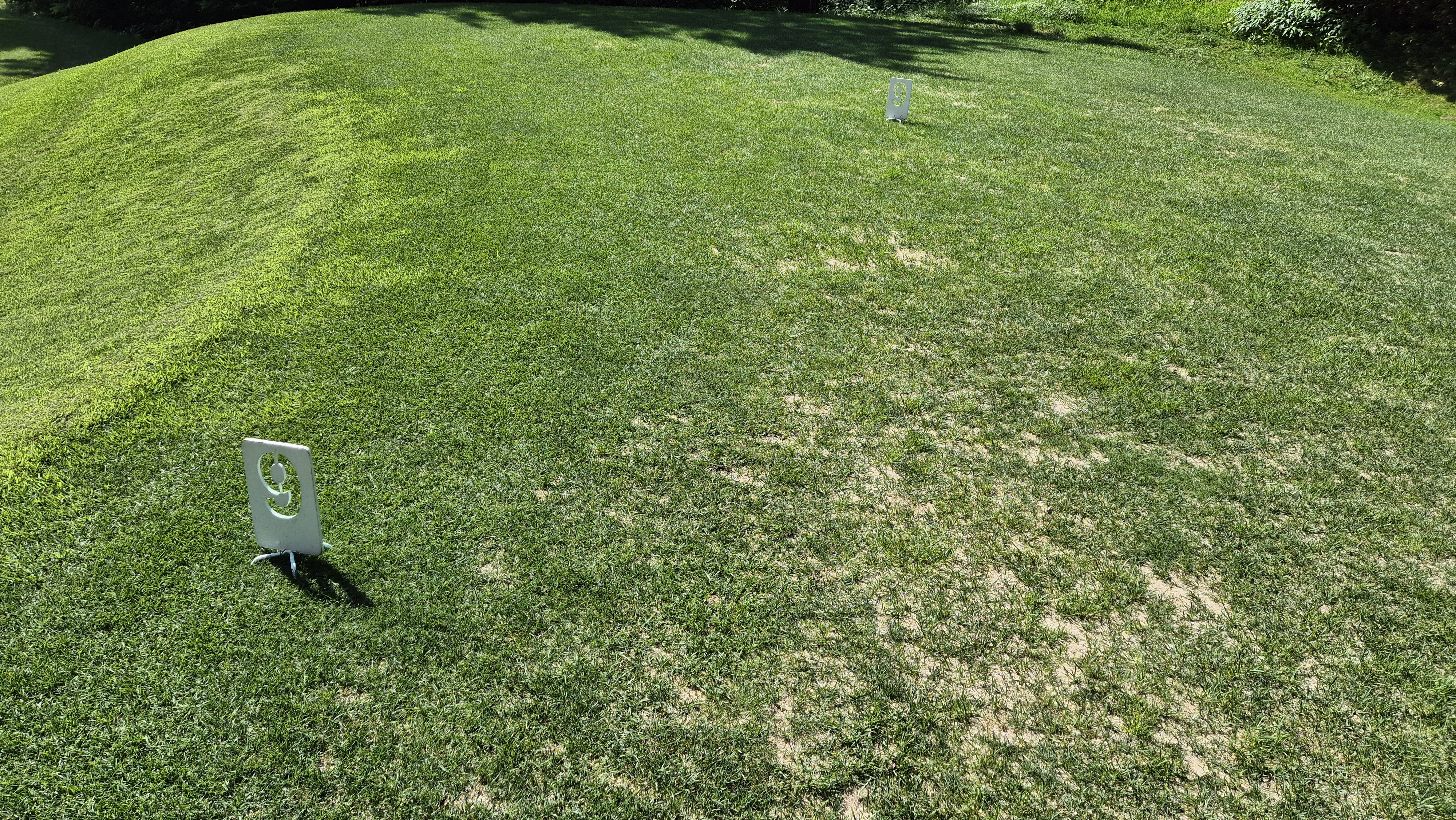 골프존카운티 천안 라운드 후기