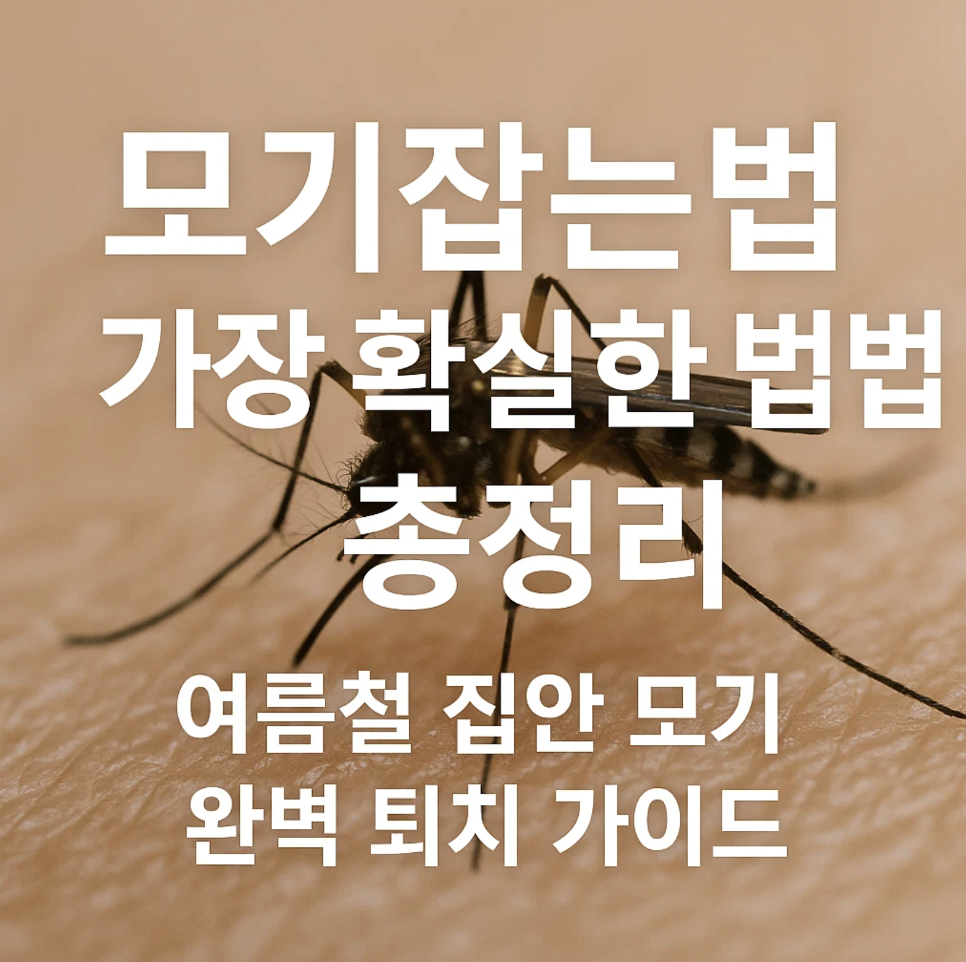 모기잡는법 가장 확실한 방법 총정리, 여름철 집안 모기 완벽 퇴치 가이드