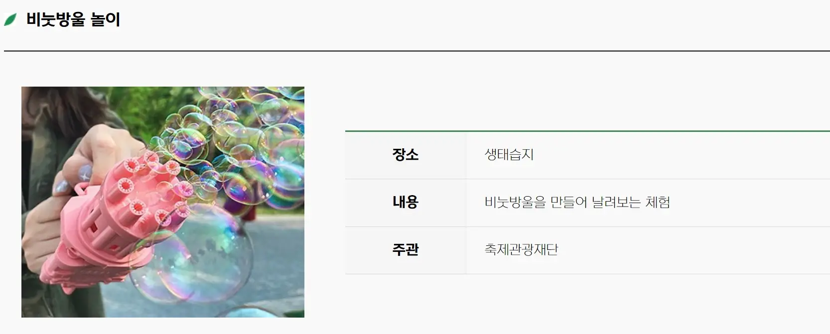 함평나비축제 기간, 주차장, 행사내용