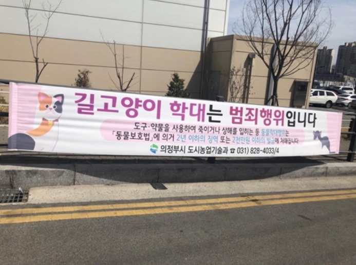 지자체에서 길고양이 학대는 범죄행위라는 현수막