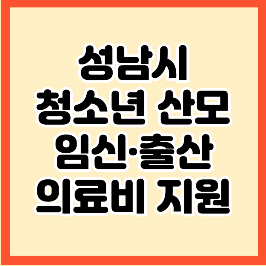 청소년산모 임신 출산 의료비 지원