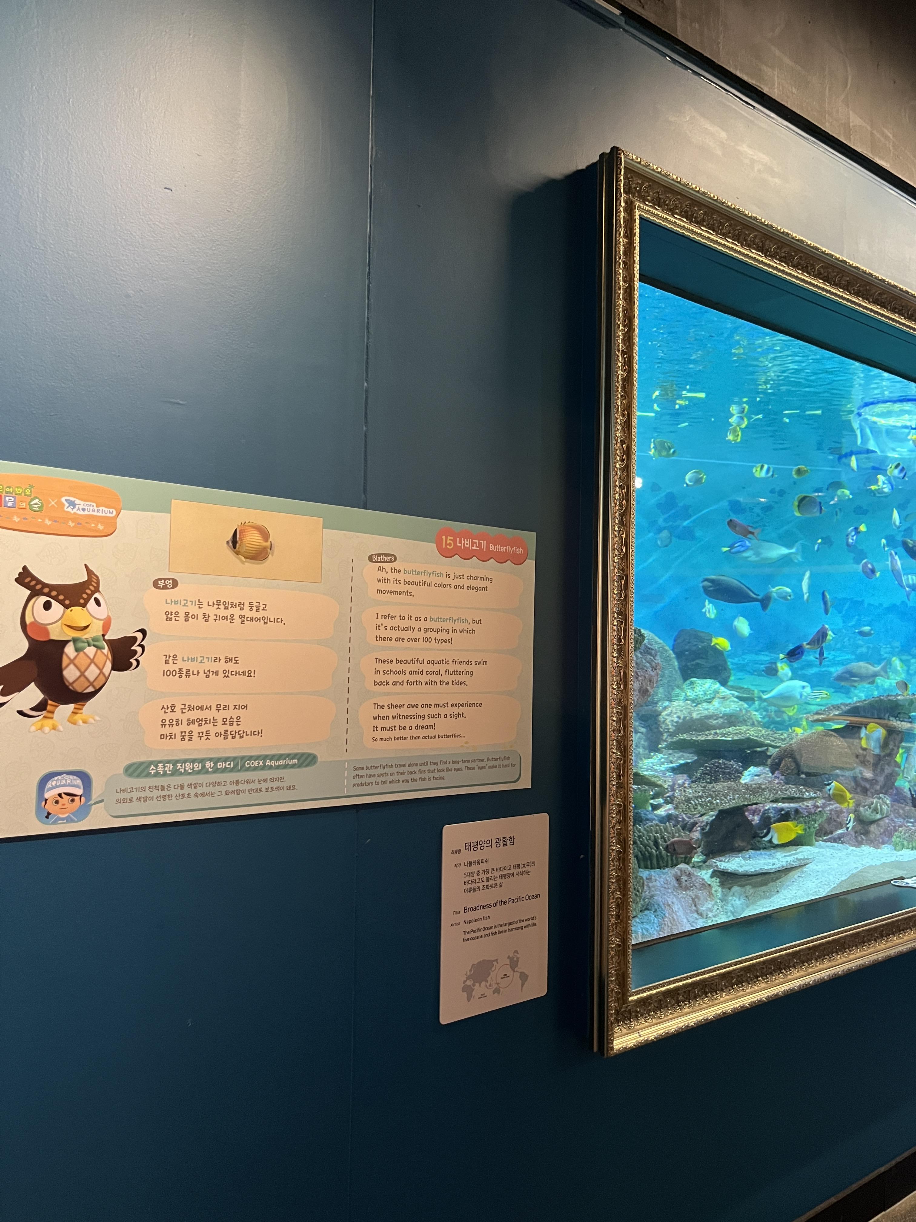 코엑스 아쿠아리움 동물의숲