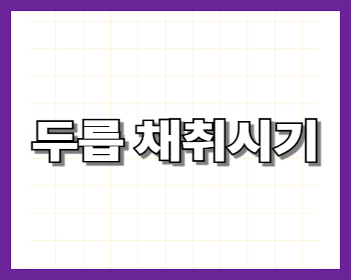 두릅 채취시기 완벽 가이드 — 지역별 골든타임·손질법·효능·요리법 총정리