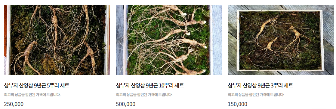 6시내고향 평창 산양삼 효능 및 구매 정보 삼부자 평창 산양삼