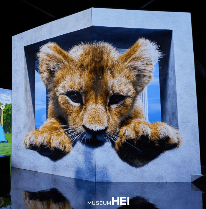 파주 뮤지엄헤이