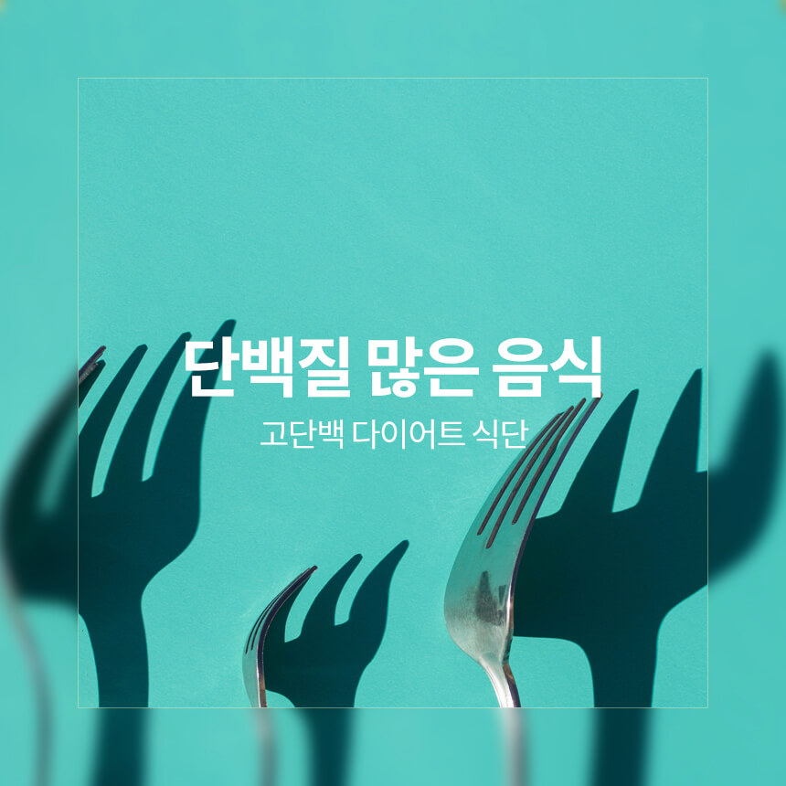 “단백질-많은-다이어트-식단”