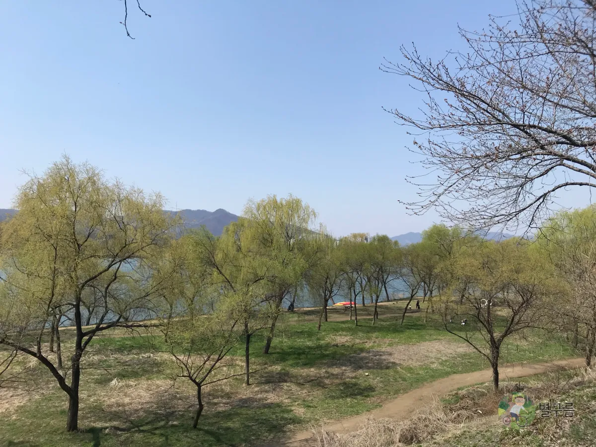 갈산공원-강-느티나무-풍경